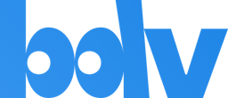 BDV Logotype